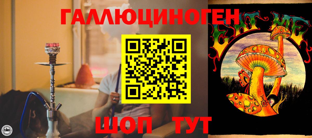 Галлюциногенные грибы Psilocybine cubensis  Вход с VPN  Сибай 