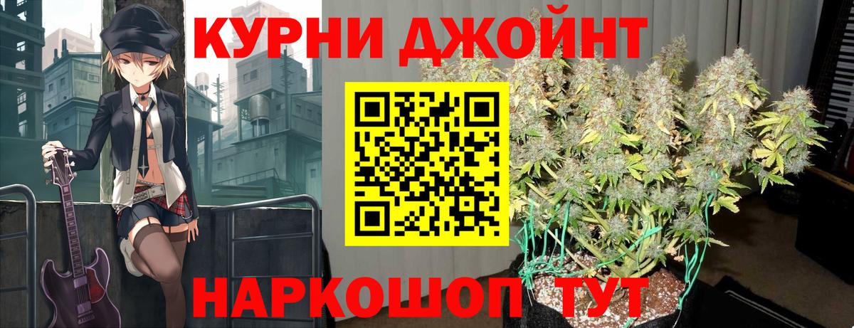 Конопля сатива Сибай